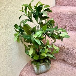 Artificial plant